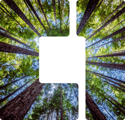 Group 14 Copy 3@1.5x-1 Group 14 Copy 3@1.5x-1